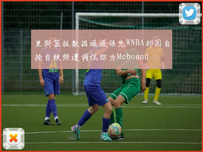 里斯篮板数据遥遥领先WNBA却因自抢自铁频遭调侃称为Mebound